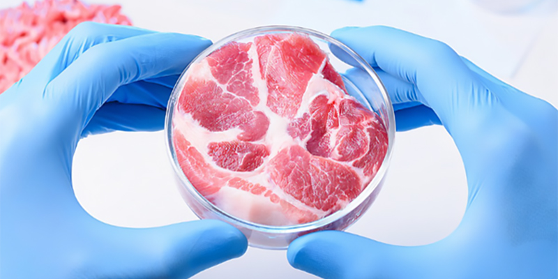 Figure 1: Meat in petri dish. Source: iStock.com