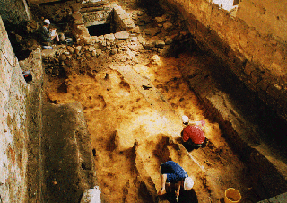 Image of Excavation of St Colman's Church.