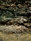 2.) March 2004 bottom of section 2.
