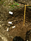 8.) March 2004 down to 6.