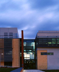 Biology at night