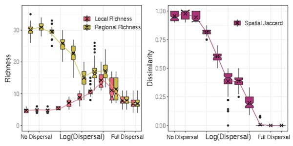 Two graphs adjacent to each other. The graph on the left shows Richness on the y-axis, and log dispersal on the x-axis. The graph on the right shows Dissimilarity on the y-axis and log dispersal on the x-axis.