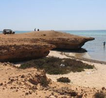 Shell mounds on east side of Janaba Bay, Farasan Islands, Saudi Arabia
