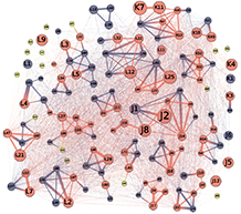 A social network of interactions among resident killer whales.