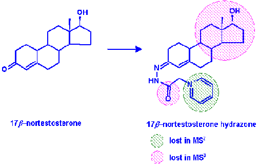 structure of 17beta-nortestosterone and 17beta-nortestosterone hydrazone