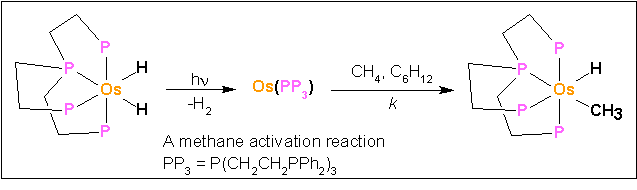 A methane activation reaction
