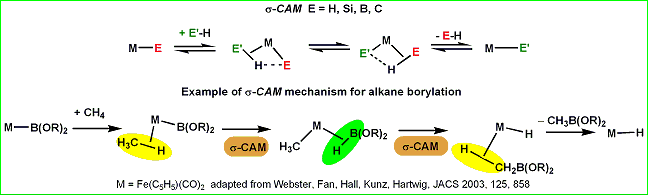 Scheme of sigma-Complex Assisted Metathesis mechanism