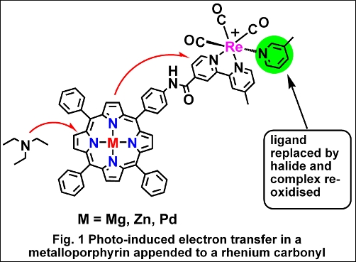 Photo-induced electron transfer in a metalloporphyrin appended to a rhenium carbonyl