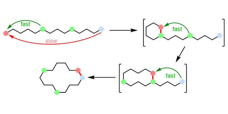 Cascade ring expansion approach to macrocycles developed by Dr Unsworth and his research team.