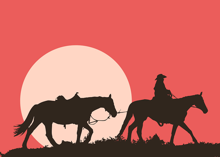 Silhouette of a person sitting on a horse, leading another horse, against a sunset background