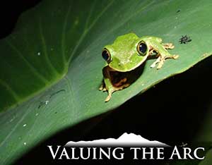Valuing the Arc Programme