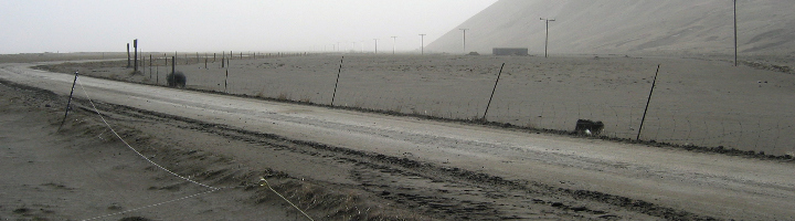 Picture of road covered in volcanic ash, Iceland