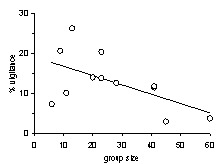 Graph showing vigilance v group size in impala