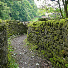 Walled path (Tim green aka atoach at flickr)