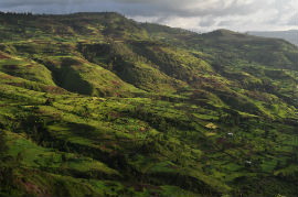Credit: Dr Rob Marchant - Gamo Highlands of Ethiopia