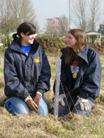 University volunteers planting trees. Photo by Andrew Marshall