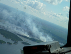 View of burning forest from the aircraft 