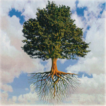 Tree representing personal development from solid roots