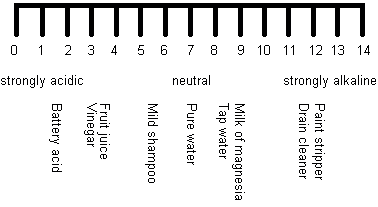 Illustration of the pH scale.