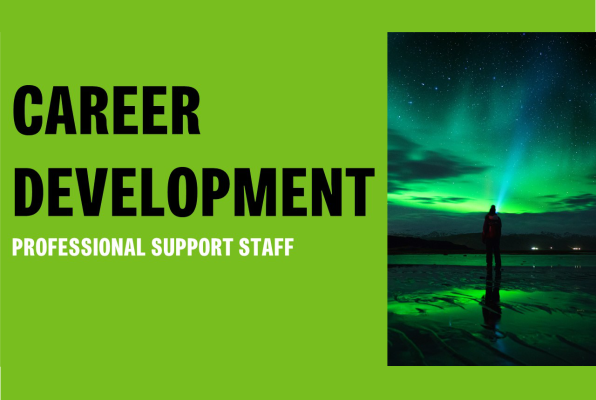 An intrepid figure watching the northern lights alongside the words career development