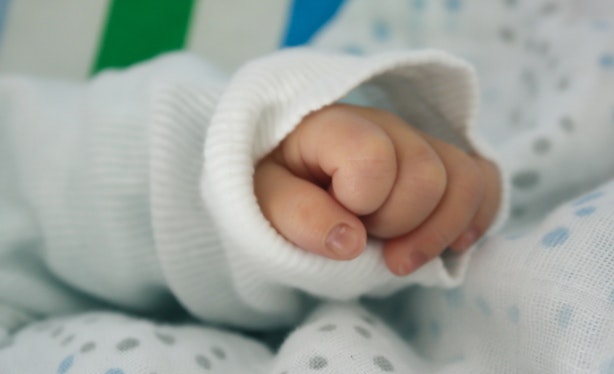 A baby's hand