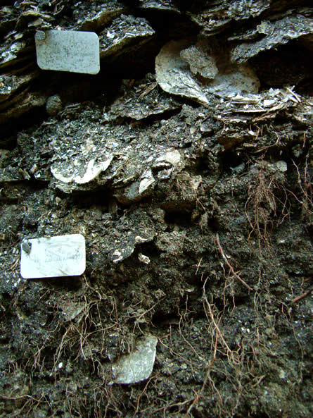 46.) March 2004 section 1 layers 19 and 20.