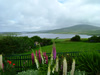 32.) View in Shetland