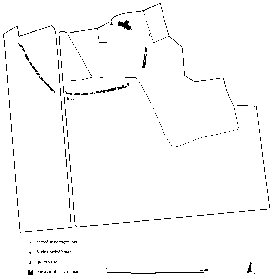 Figure 4: The Tarbat site