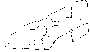Figure 11: TR22, "Boar Stone"