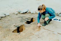 Image of double posthole.