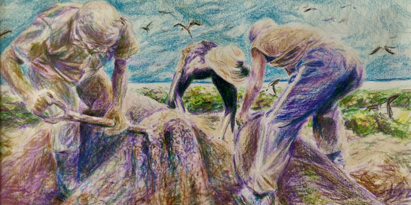 Workers collecting guano on a Seychelles island. Drawing by the talented Isham Rath.