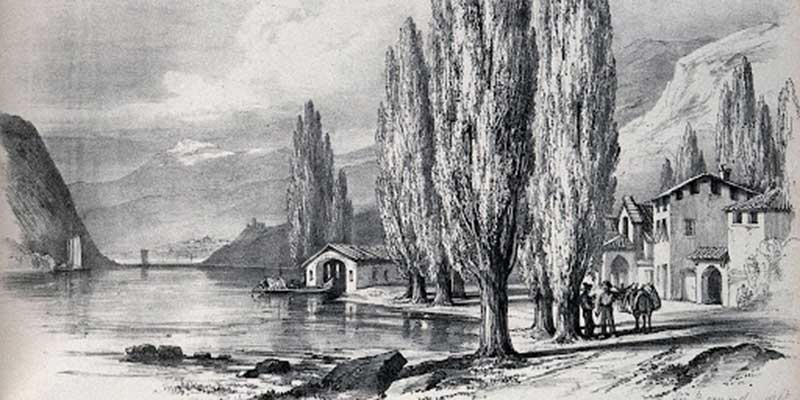 A lakeside village scene with lombardy poplar trees (Populus nigra cv. Italica) growing by the water's edge. Lithograph after G. Barnard, 1848. Wellcome Collection.