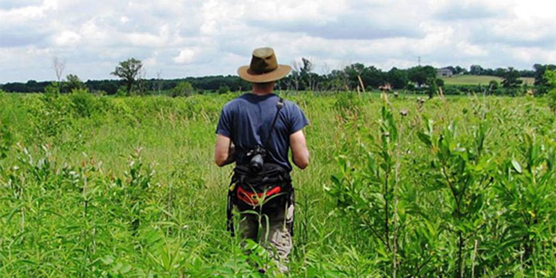 Photo by Tamara Smith/USFWS, Searching for Endangered Butterflies, CC-BY-2.0