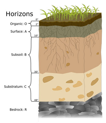 This is a graphic representation of a soil profile. Notice the different layers indicated by colour and patterning; these are the ‘horizons’. Soil scientists recognise different types of soil by observing and analysing soil profiles. https://creativecommons.org/licenses/by-sa/4.0/.
