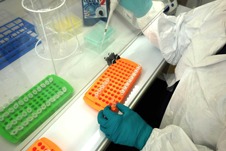 Coauthor Jessica Hendy at work in the protein lab at the Max Planck Institute for the Science of Human History.