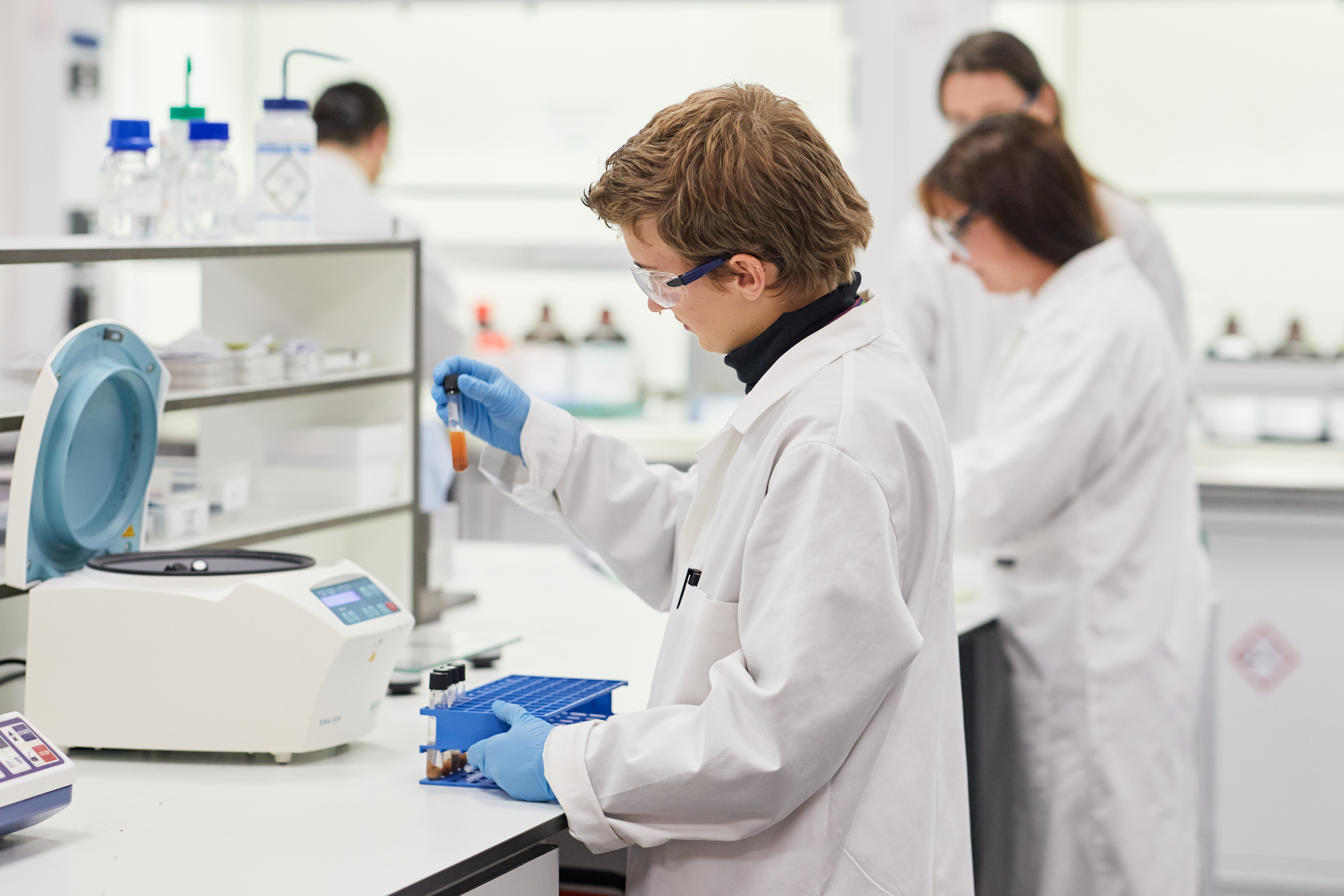 Researchers working in a laboratory