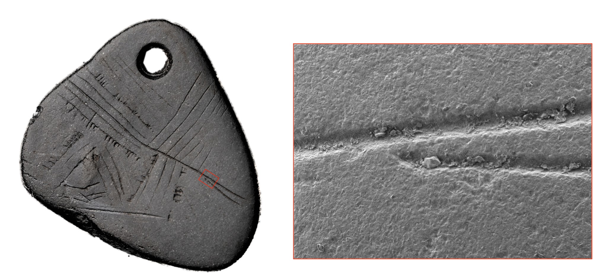 Scanning Electron Microscope image of the Star Carr Pendant