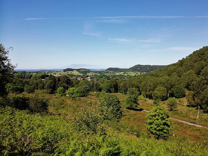 A view across the Mid-Cheshire Ridge, the landscape to be studied.