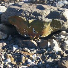 Mask found in a stone circle at Peace Camp. 