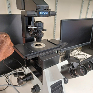 Olympus IX73P2F inverted light microscope with Stream image analysis software