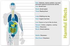 A picture of a part of the interactive media presentation created under the SCORe project. It features a diagram of the human body, labelled to show the problems of excessive alcohol consumption.
