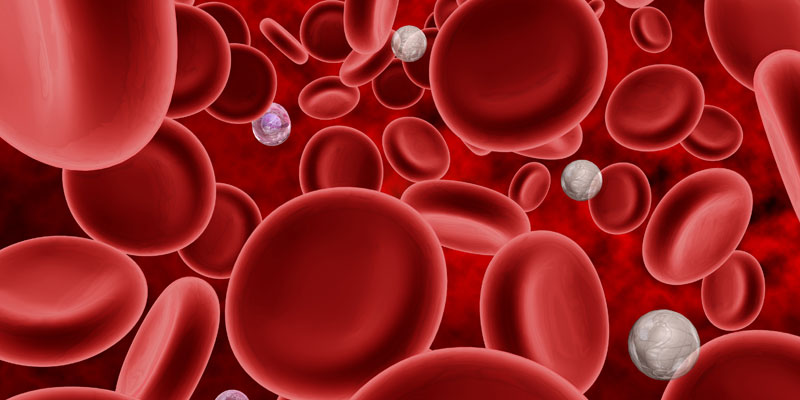 A computer image of white and red blood cells in extreme closeup