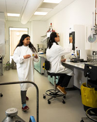 Researchers at work in the laboratory