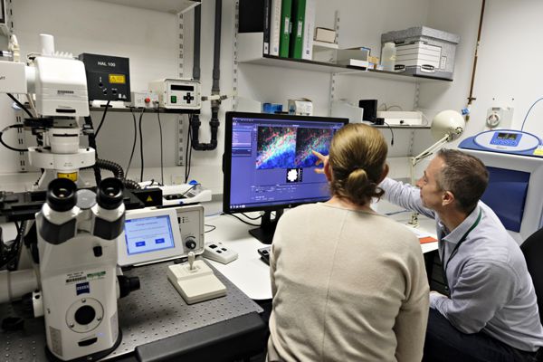 Confocal Microscopy Course