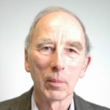 Professor Mark H Williamson