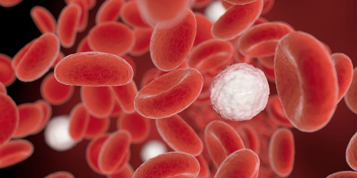 graphic illustration of white and red blood cells