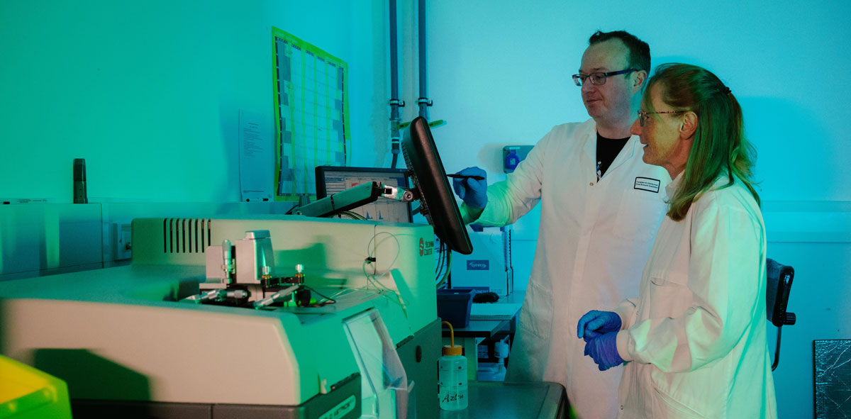 A male and female researcher observe findings on a computer monitor next to their microscope in the laboratory