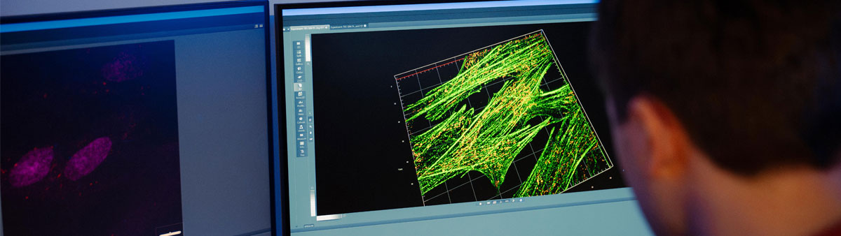 a man observes his monitors in a laboratory