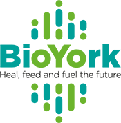 BioYork logo