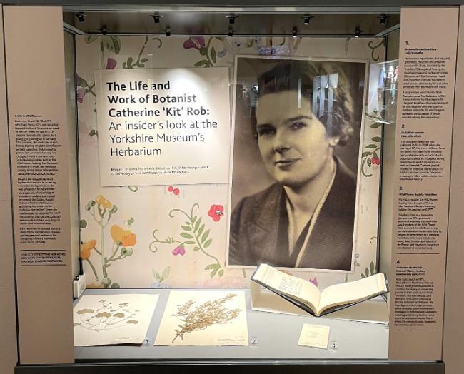 The foyer display on Catherine Muriel 'Kit' Rob at Yorkshire Museum